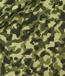 IMAGE_T