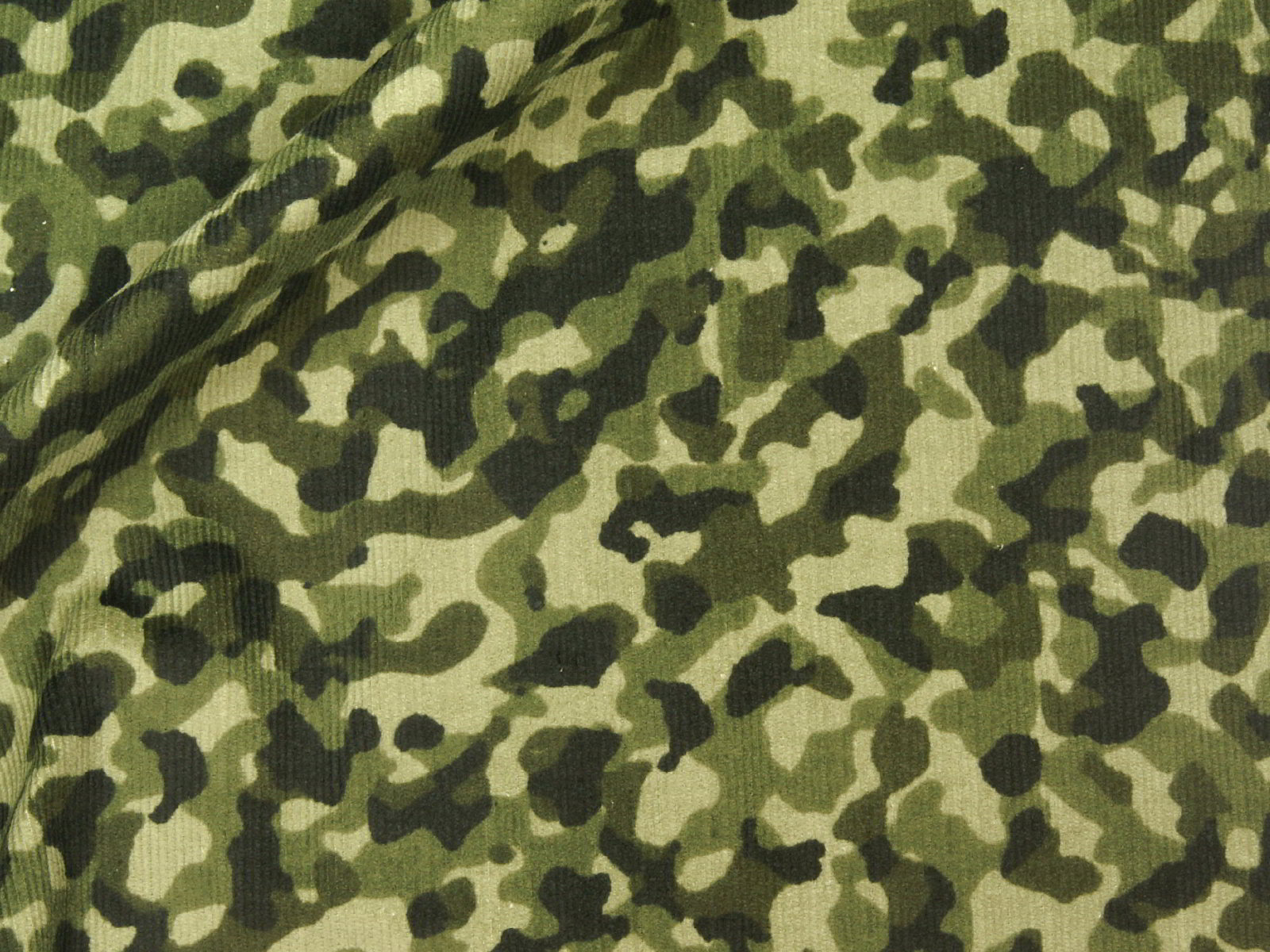 IMAGE_L