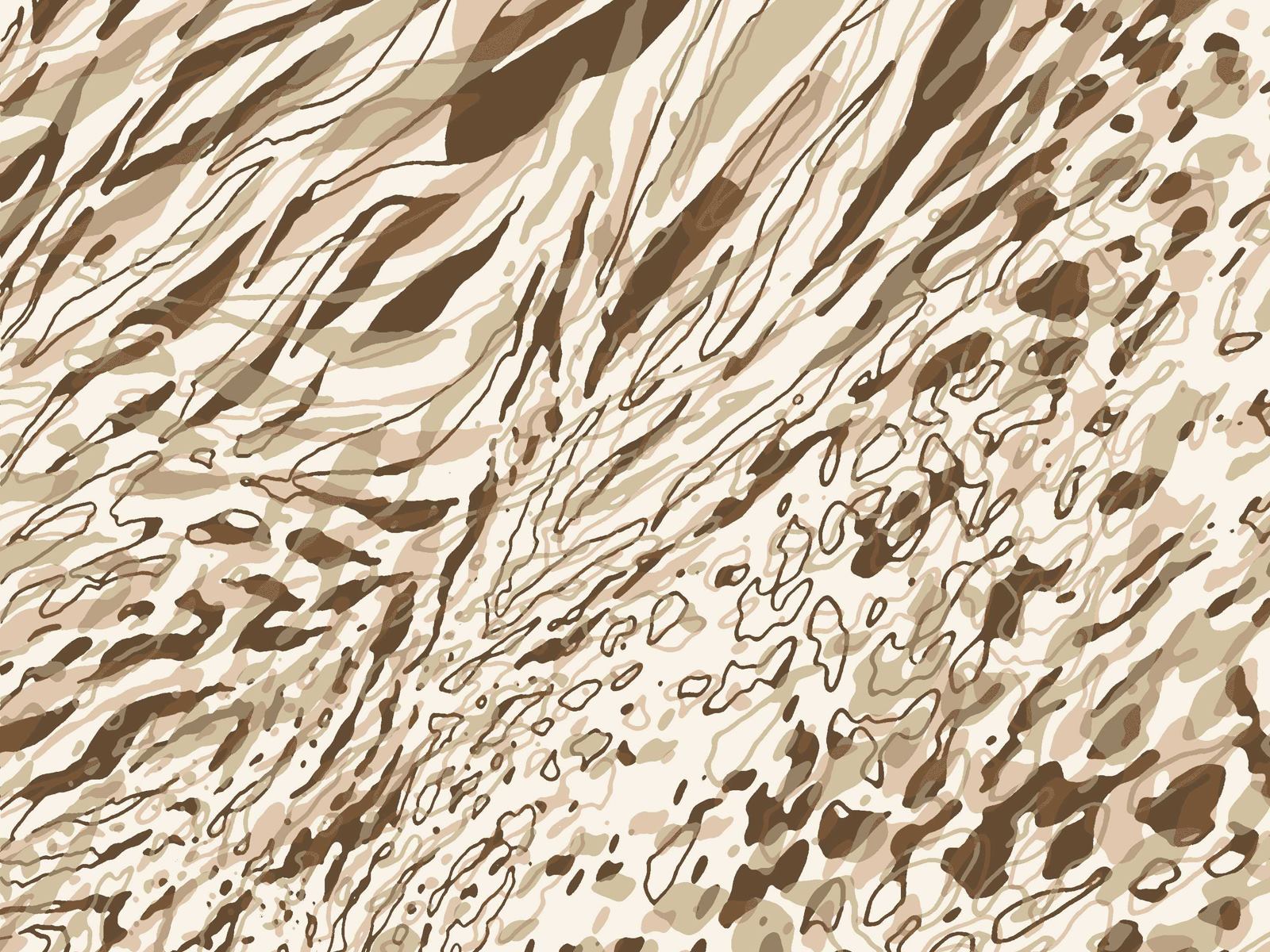 IMAGE_L