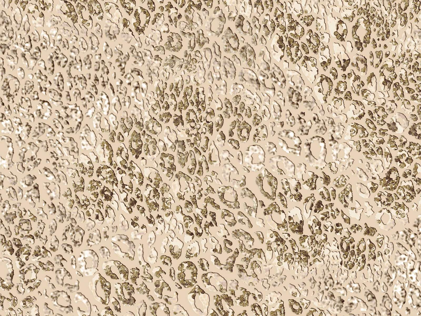 IMAGE_L