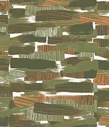 IMAGE_T