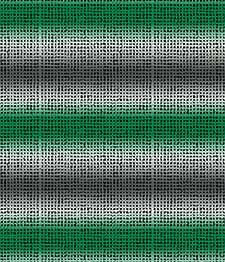 IMAGE_T