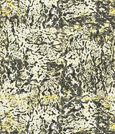 IMAGE_T
