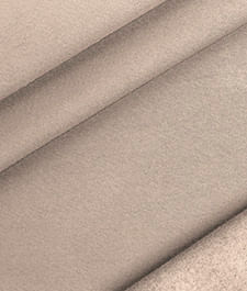 IMAGE_T