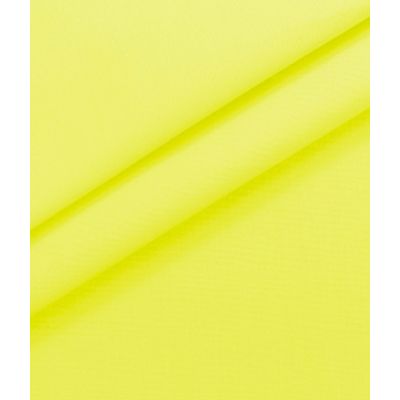 IMAGE_T