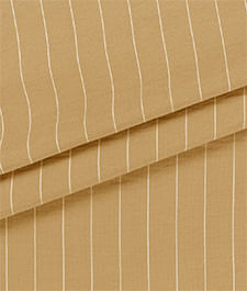 IMAGE_T