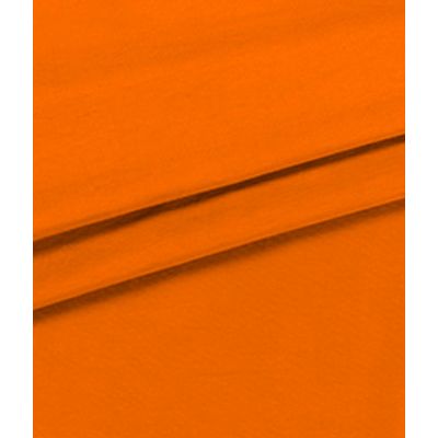 IMAGE_T