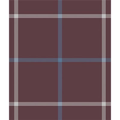 IMAGE_T
