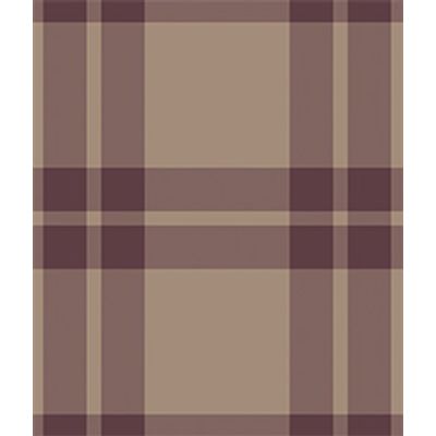 IMAGE_T