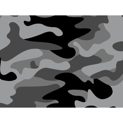 IMAGE_L