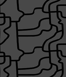IMAGE_T