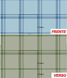 IMAGE_T