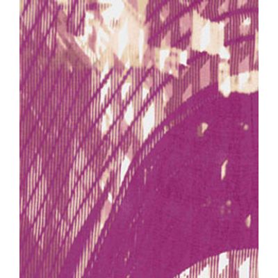 IMAGE_T