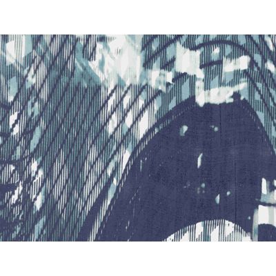 IMAGE_L