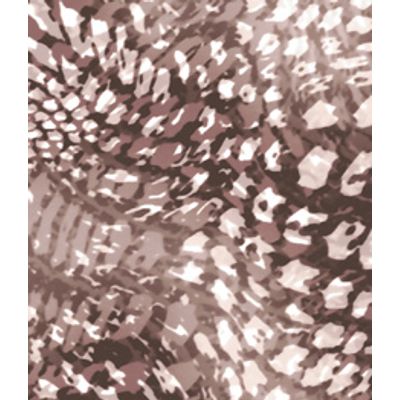 IMAGE_T
