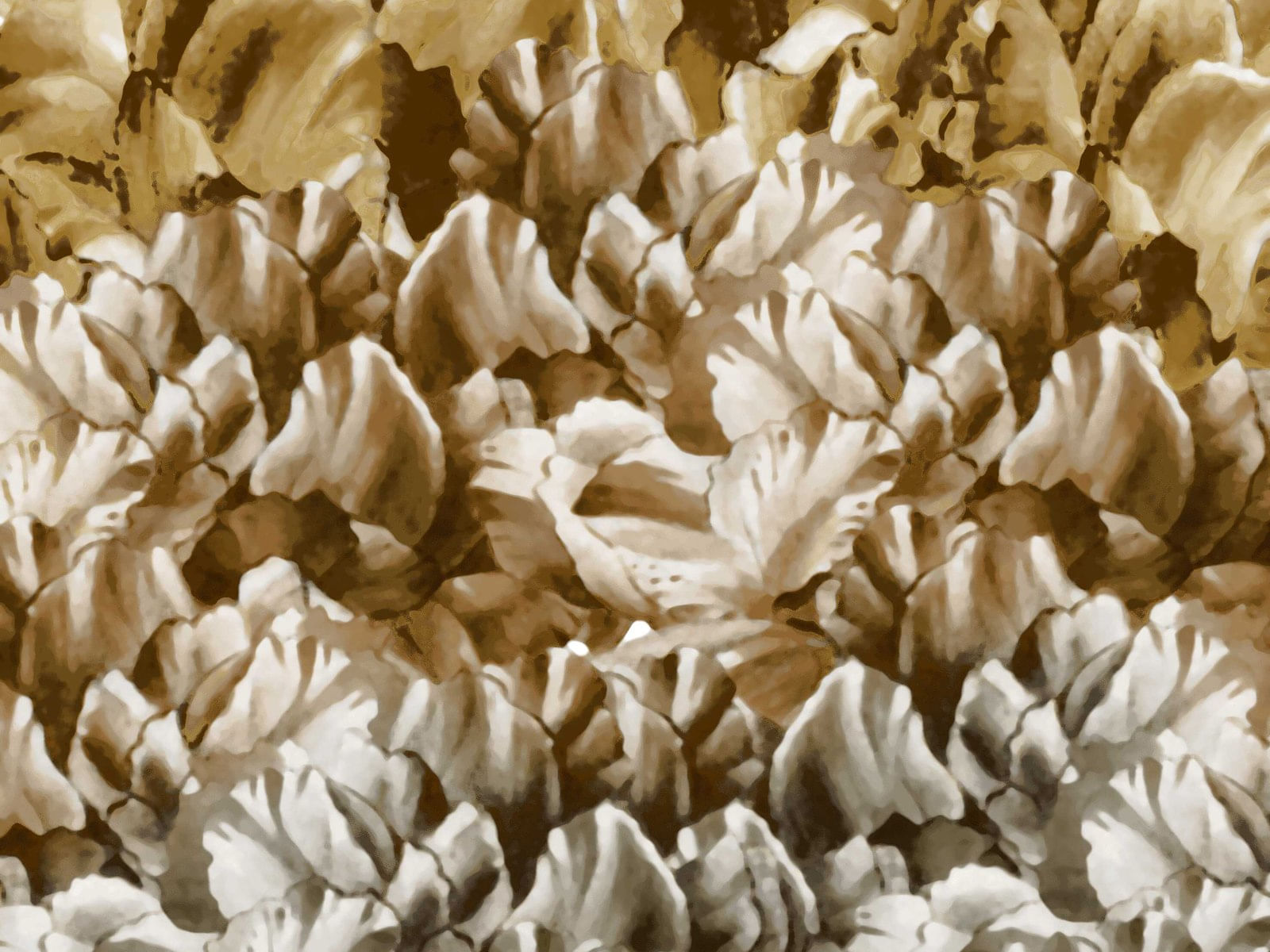 IMAGE_L