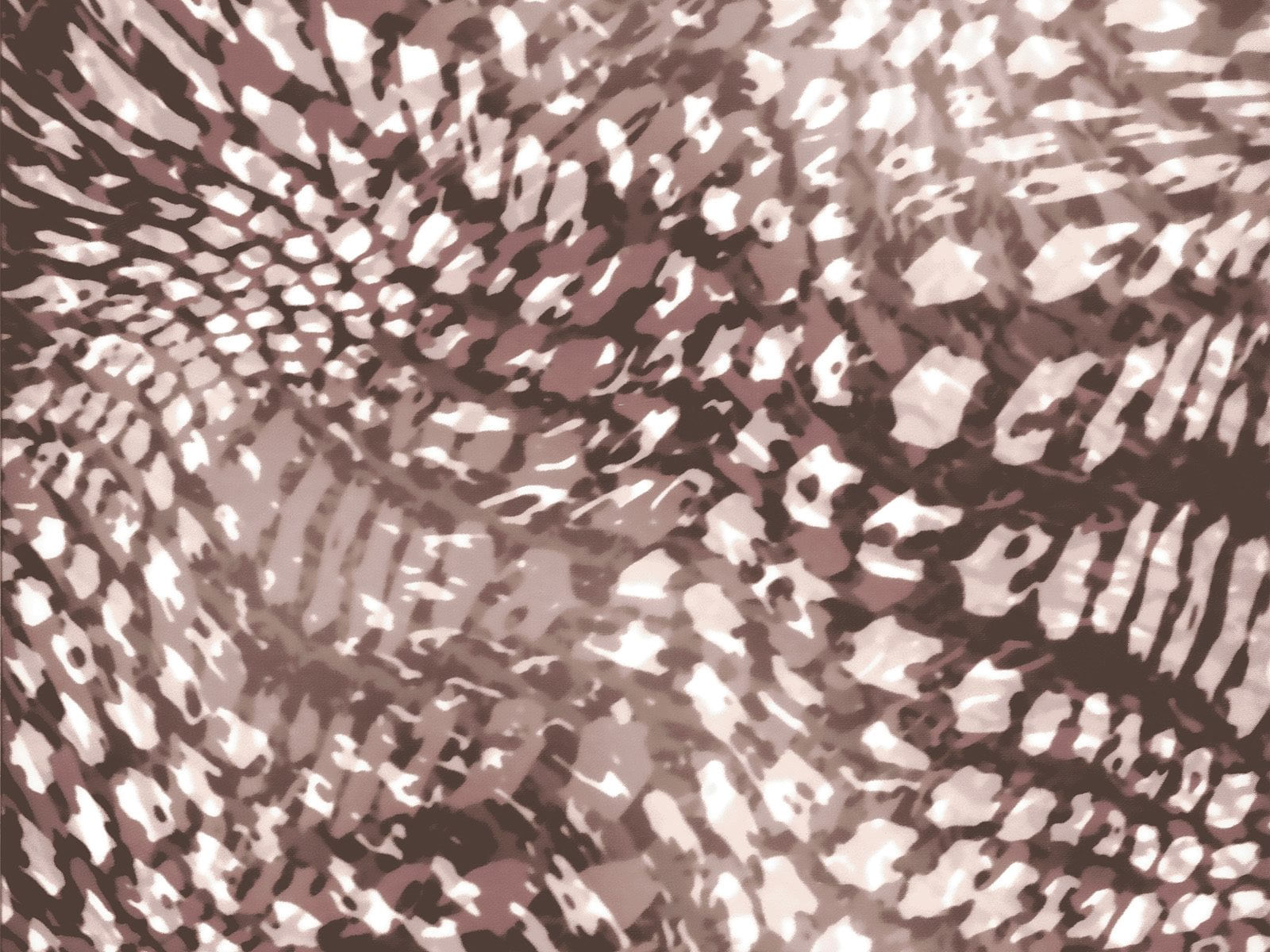 IMAGE_L