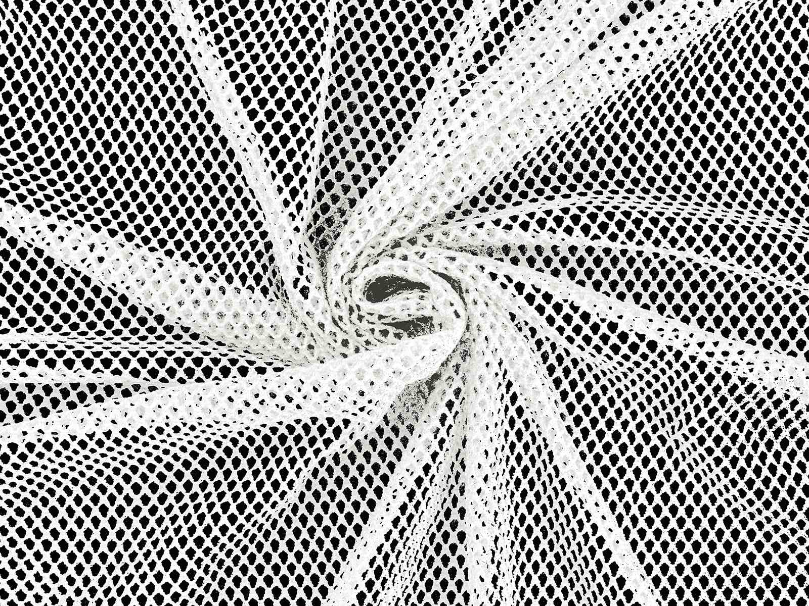 IMAGE_L