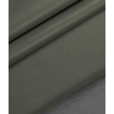 IMAGE_T