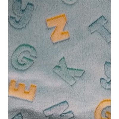 IMAGE_T