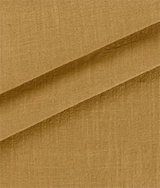IMAGE_T