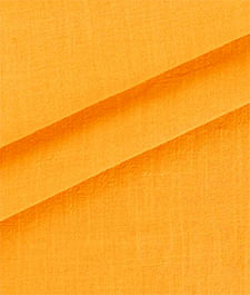 IMAGE_T