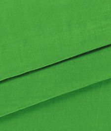 IMAGE_T