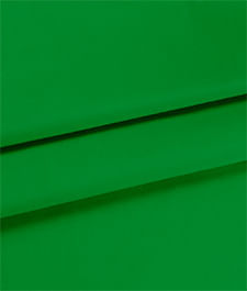 IMAGE_T