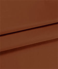 IMAGE_T