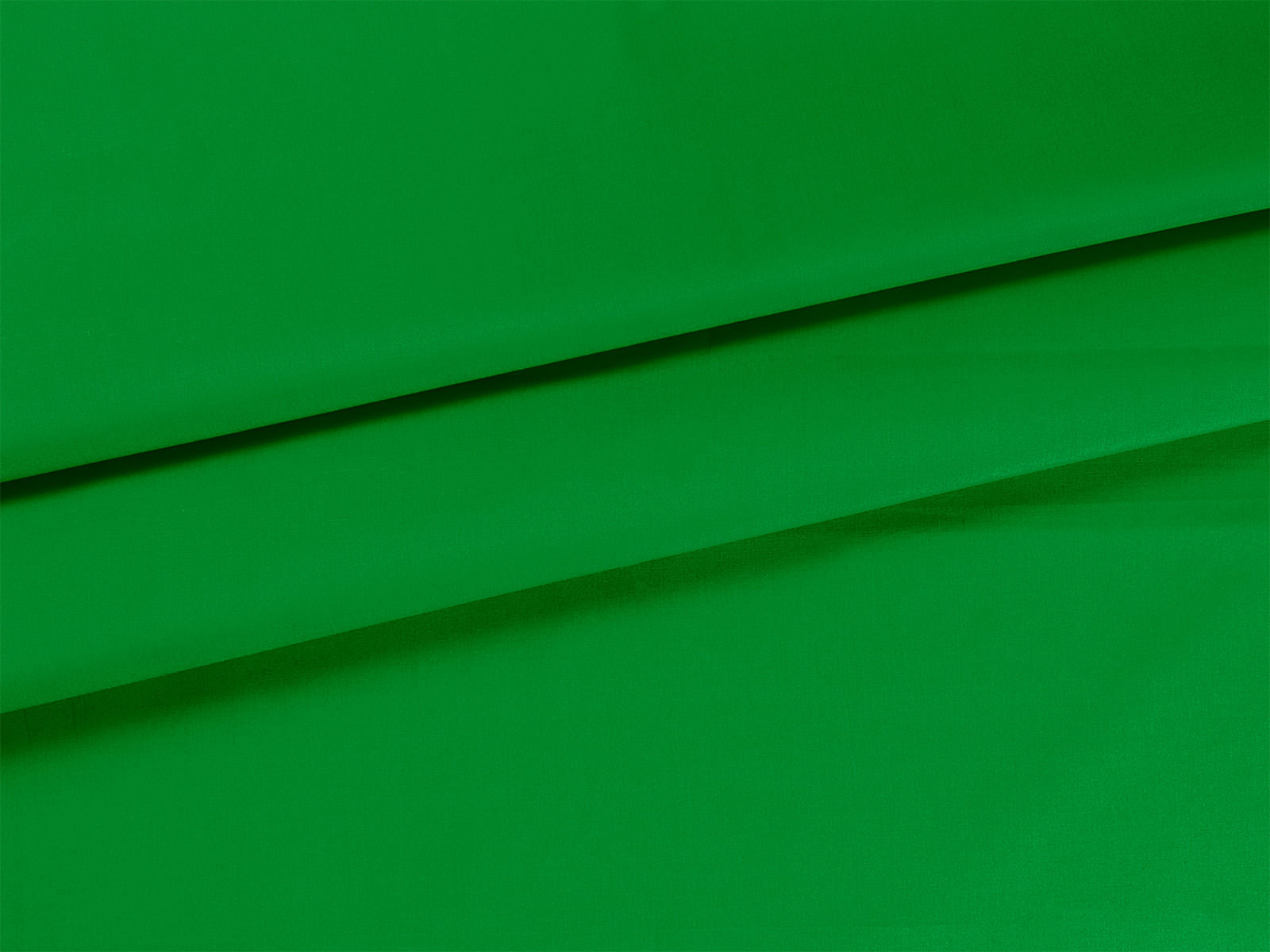 IMAGE_L