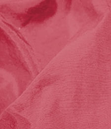 IMAGE_T