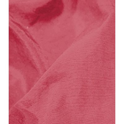 IMAGE_T