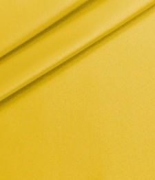 IMAGE_T