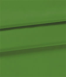 IMAGE_T
