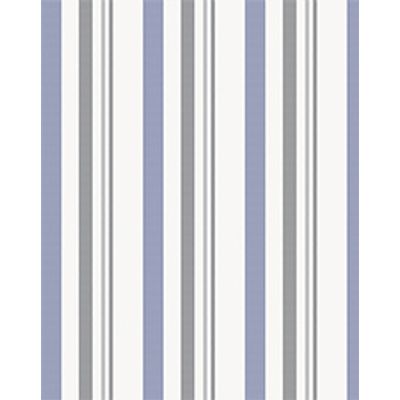 IMAGE_T