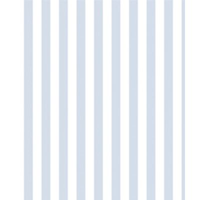IMAGE_T