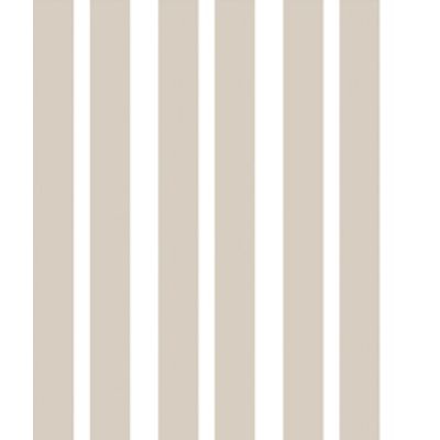 IMAGE_T