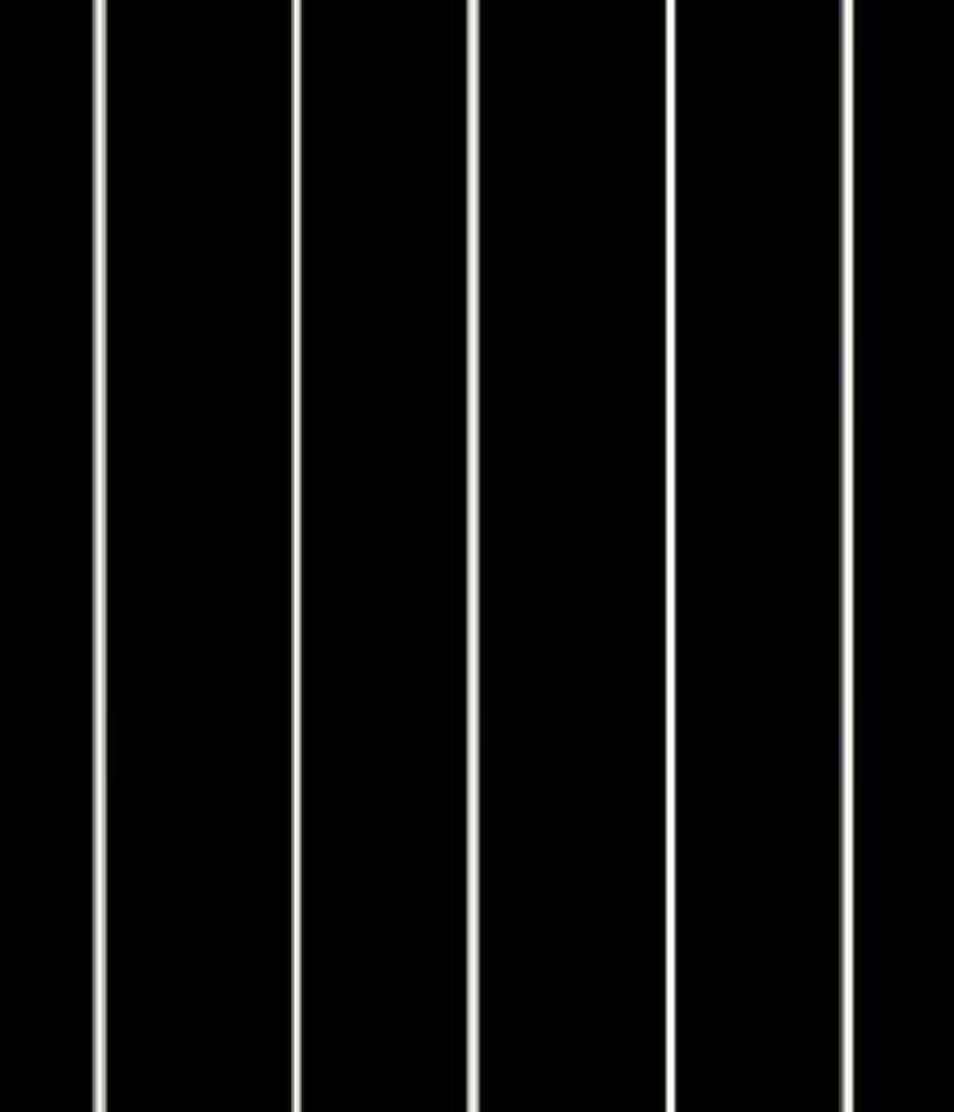 IMAGE_T