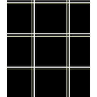 IMAGE_T