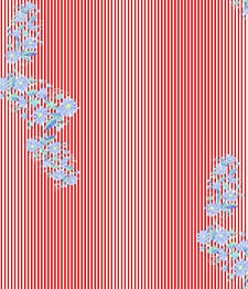IMAGE_T