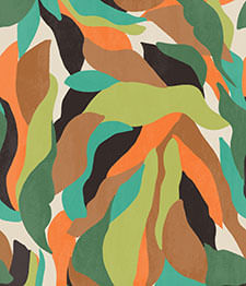 IMAGE_T