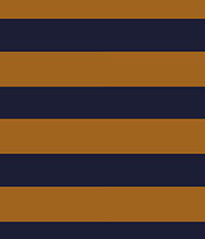 IMAGE_T