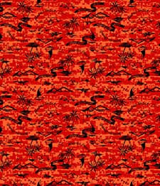 IMAGE_T
