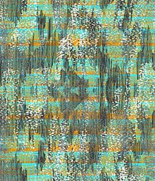 IMAGE_T