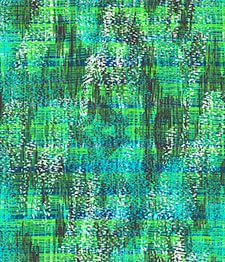IMAGE_T