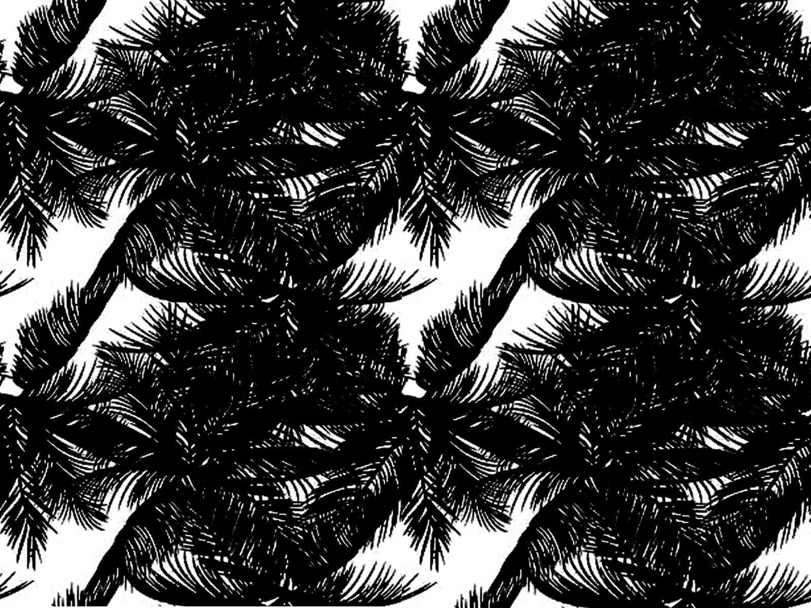 IMAGE_L