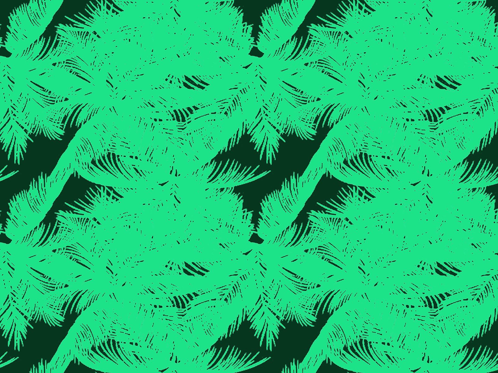 IMAGE_L