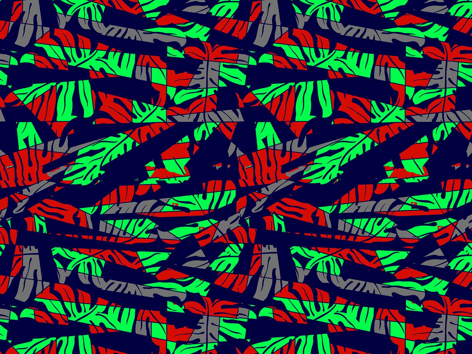 IMAGE_L