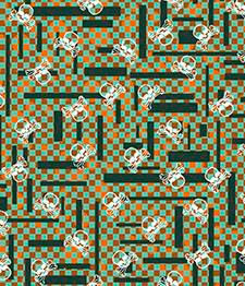 IMAGE_T