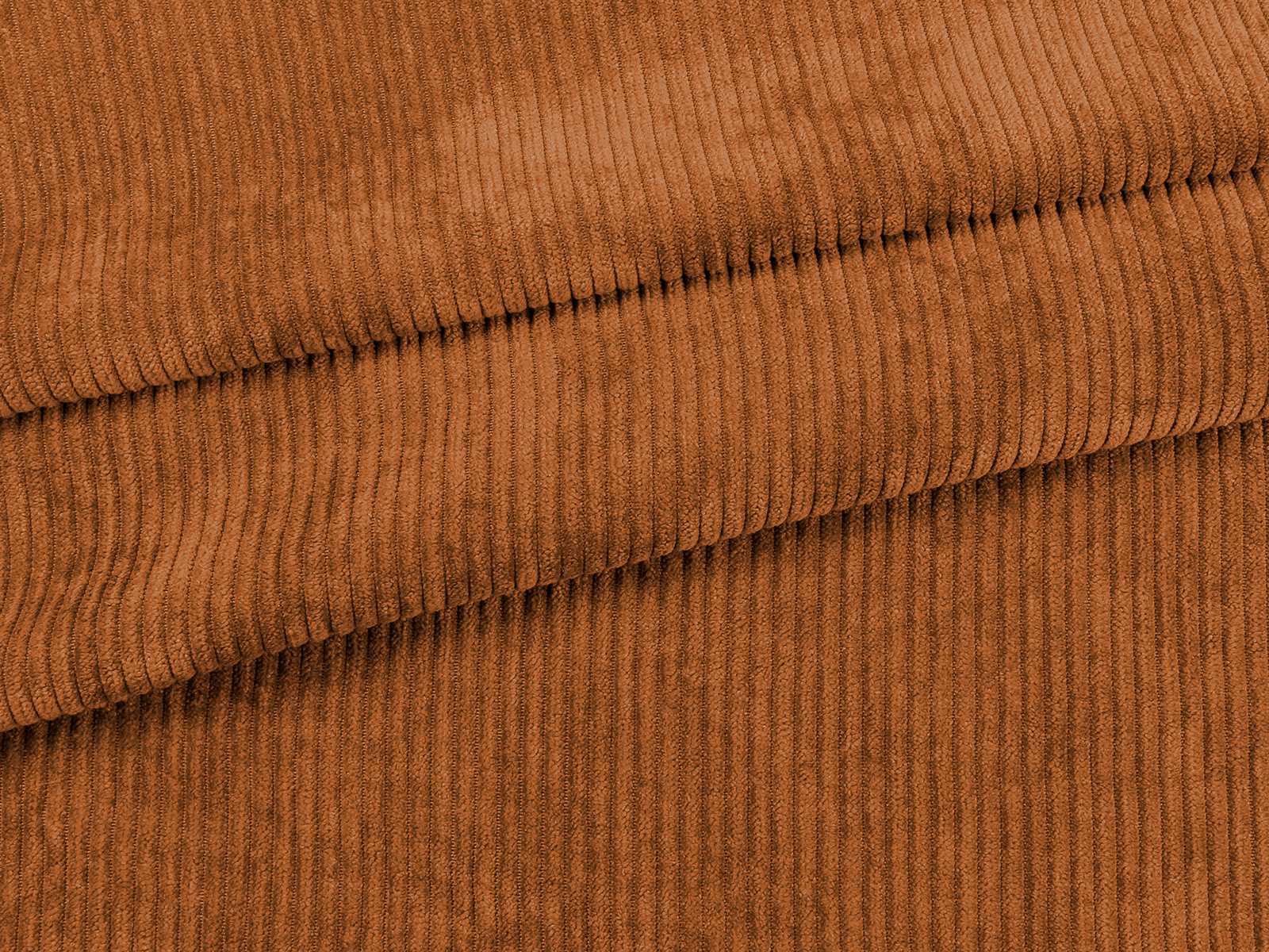 IMAGE_L